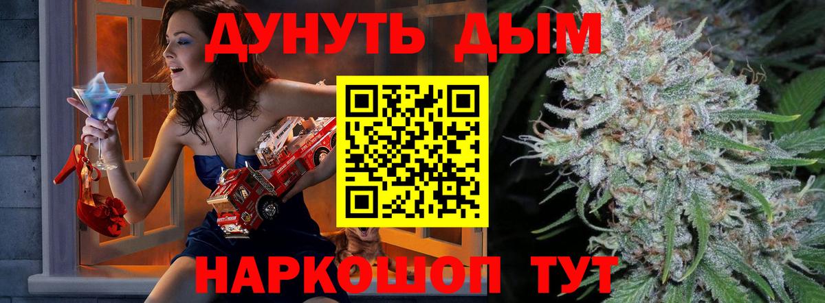 Бошки Шишки планчик Азов